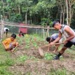 Satgas Yonzipur 5/ABW Bersama Remaja Rumah Singgah Tingkatkan Kualitas Pangan
