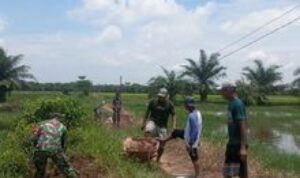 Babinsa Koramil 12/HP Bersama Warga Gotong Royong Perbaiki Jalan Rusak di Desa Paluh Manan