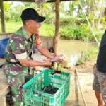 Berikan Motivasi, Serka Aris Komsos dengan Peternak Lele di Wilayah Binaan