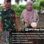 Babinsa Koramil 14/PB Dukung Program Ketahanan Pangan Hewani di Pancur Batu