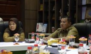 Pemko Binjai Ikuti Rakor TPPS Provinsi Sumatera Utara