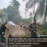 Gotong Royong Bersama Babinsa Koramil 15/DT Bersihkan Bahu Jalan