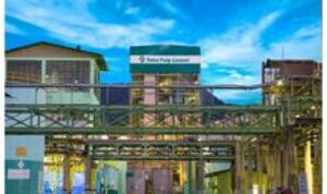 TPL Sektor Simalungun Siapkan Lahan Bibit Eukaliptus, Belasan Oknum Diduga Mengganggu Operasional Masuki Kawasan Konsesi