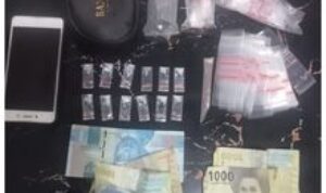 Berawal Dari Laporan Masyarakat, Reskrim Polsek Delitua Ringkus Pengedar Sabu-sabu di Pamah