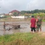 Percepat Masa Tanam, Babinsa Dampingi Petani Bantu Bajak Sawah