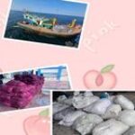 Bea Cukai Aceh Gagalkan Penyelundupan Perairan Jamboaye