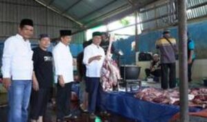 Kanwil Kemenagsu Sembeli 7 Ekor Hewan Kurban