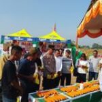 Babinsa Koramil 0201-16/TM Hadiri dan Monitoring Sosialisasi Pertanian oleh PT. BISI Internasional Tbk