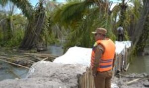 Wakil Bupati Asahan Tinjau Pembangunan Tanggul di Desa Teluk Dalam